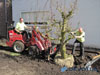 Capelle aan de IJssel Prive tuin - Private green, vlonders en groenvoorziening